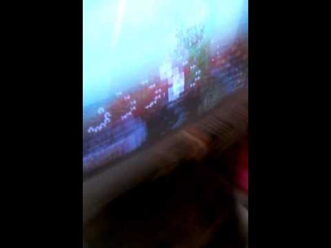 Happy Tree Friends parte 2 los amigos felices del Bosque parte 2