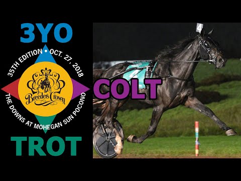 2018 Breeders Crown - Tactical Landing - 3YO Colt Trot