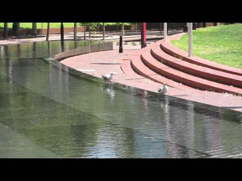 Canon PowerShot S200 video test