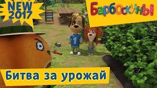 183 серия. Битва за урожай 🍓 Барбоскины. Новая серия