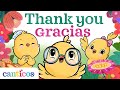 Canticos Thank You Gracias A Song About Gratitude Canta En Inglés Y Español