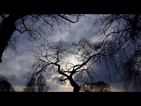 Red Norvo   If You Love Me 1936