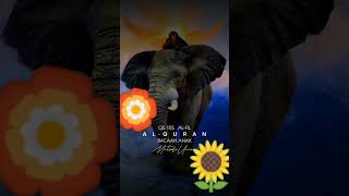 Download lagu Surat Al Fiil metode ummi mp3 Download lagu Surat Al Fiil metode ummi mp3