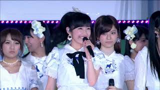 AKB48 ラブラドール・レトリバー Labrador Retriever RH2014