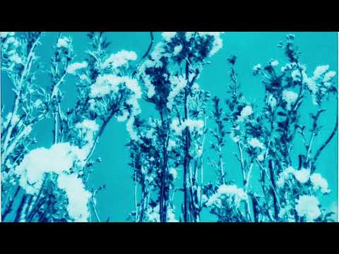 Laura Brehm & Nikonn - Stars Turn Blue