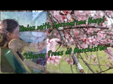 Relaxing Harp Music "Cherry Trees at Merchiston"