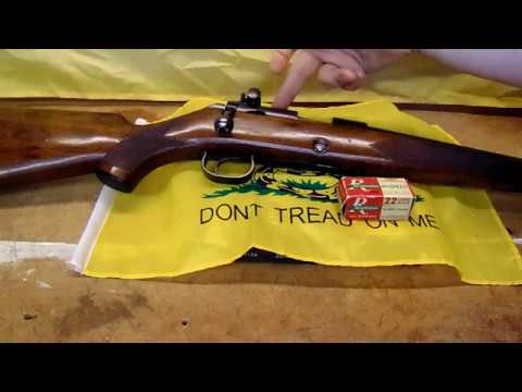 Winchester Wildcat Sporter Model Review \u0026 Shooting Video