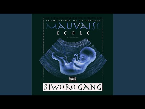 Pussy - Biworo Gang