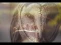 ****baton rouge - lou reed - cover Bart Leffers -changed lyrics****
