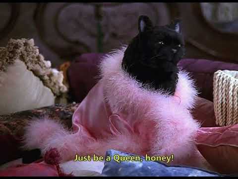 Jelena Karleusa - Ide maca oko tebe (lovelykitty's version)