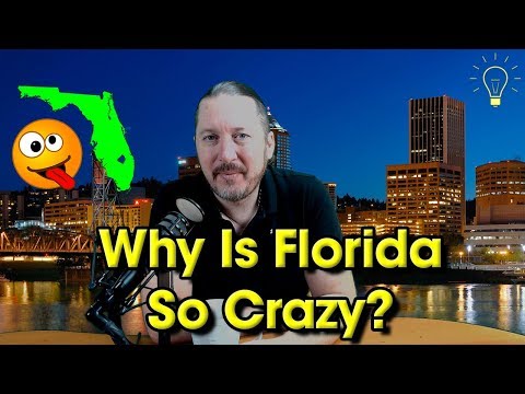 Why Is Florida So Crazy? Florida Man And Florida's Sunshine Law! You Find What You Look For!