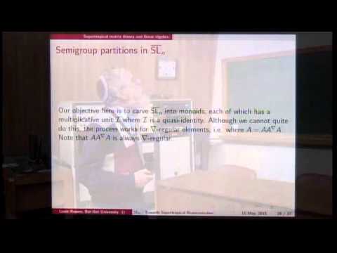 Tropical Geometry in the Tropics - Rowen