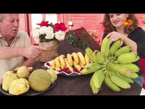 Ne Shtepine Tone, 14 Nentor 2016, Pjesa 2 - Top Channel Albania - Entertainment Show