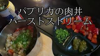 看護師の車中泊　肉丼