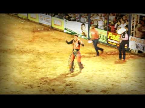 WAGUINHO ANIMAL 8 SEGUNDOS É O LIMITE