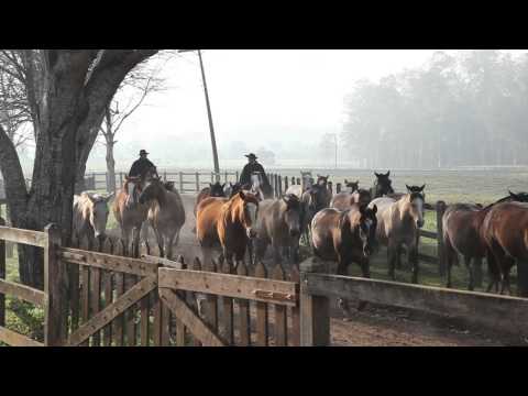 Do Trotão da Recolhida