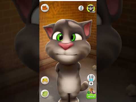 mmm...m.mmmmmm.mmmm.m.........mm #cat #cats #catlover #tarding #youtubeshorts#catlover