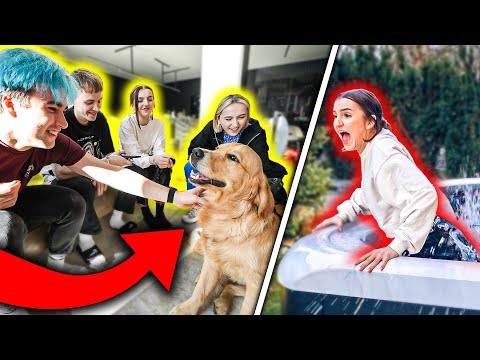 PIES SZCZEKNIE = ROBIMY KARĘ!