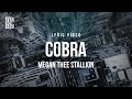 Megan Thee Stallion - Cobra | Lyrics