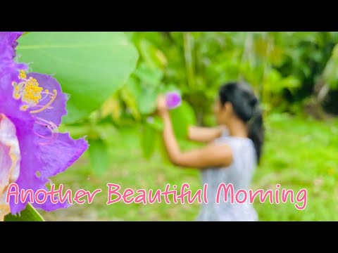 Another Beautiful Morning - Joyful Day