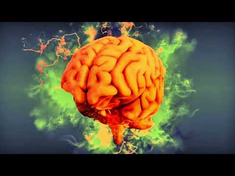 „Puterea ascunsă a creierului uman: Adevăruri șocante!” Fapte care îți vor schimba percepția.