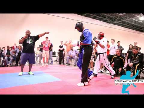 Team Plowden v Julio Lugo - Men's Team Spar - 2015 NA Int'l Karate Championships