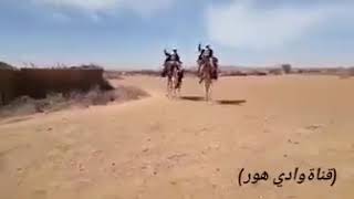 تراثيات والإبداعات بري  بور