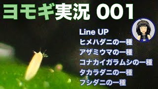 ヨモギ実況001