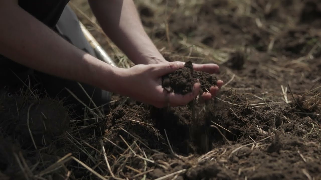 Cascadian Farm 1% Kernza® Initiative cereals