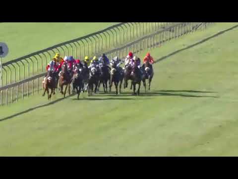 2022.06.04 Gold Medallion (RSA) - Thunderstruck