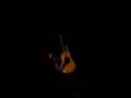 Hayden "Killbear" @ Aoelian Hall, London On