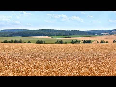 HOSCH Live - Fachvortrag - Knappe Landfläche