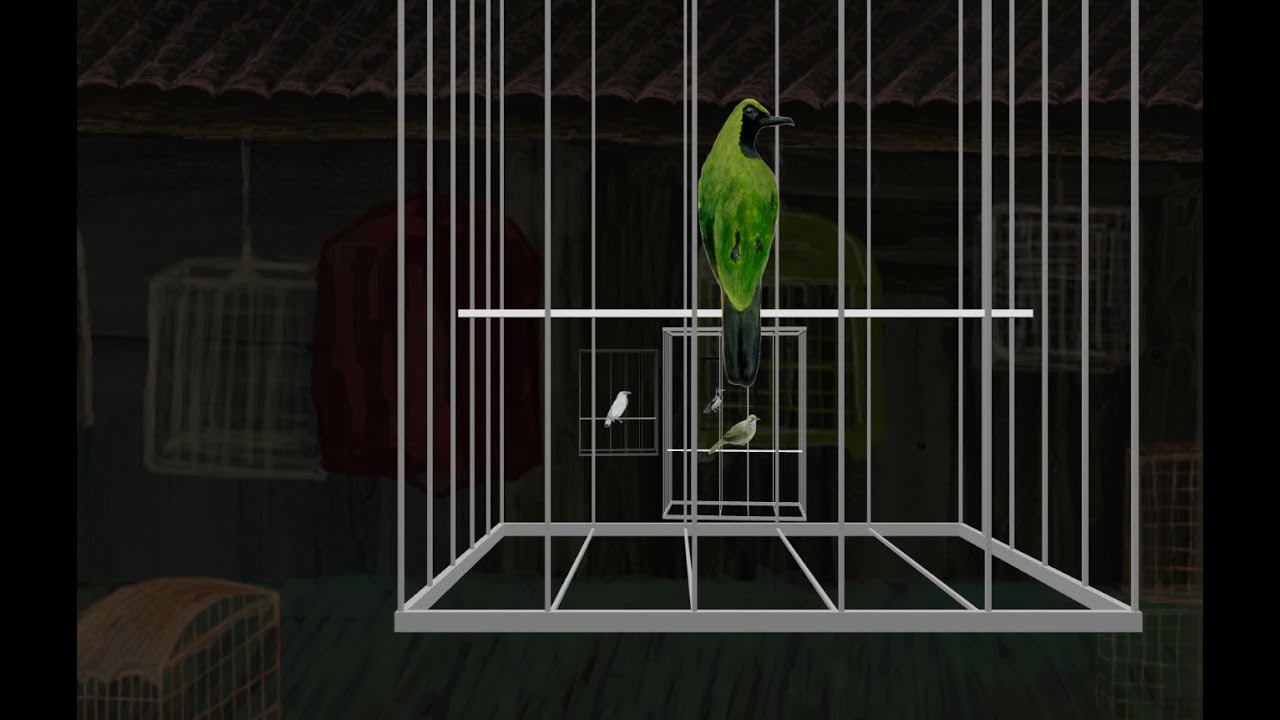 Extinction Studies Doctoral Training Programme