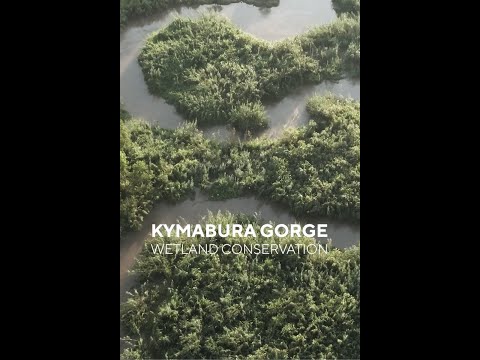 Kyambura Gorge Wetland Conservation