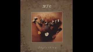 XTC-Summer&#39;s Cauldron _ Grass -