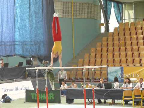 Dino Bošnjak (MKD) - International juniors competition Maribor, Slovenia 2012 (parallel bars)