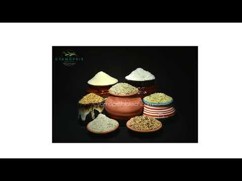 Industrial Grade Anionic Guar Gum Powder, Packaging Size: 25/50/1000 KG