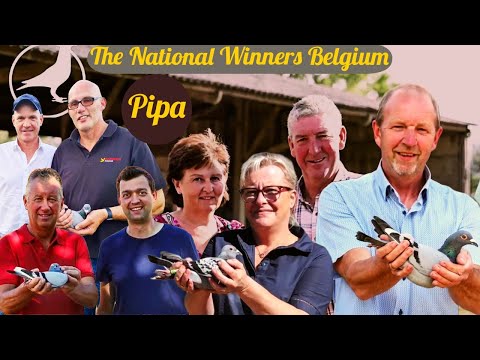 The National Winners Belgium | Pipa | Racing Pigeons 2022