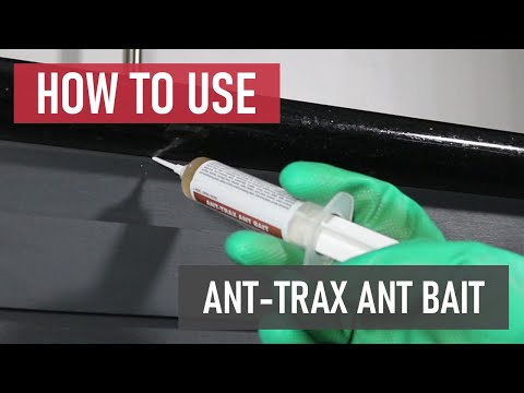 How to Use Ant-Trax Ant Bait