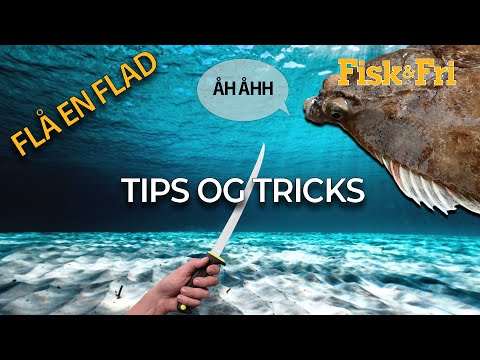NY VIDEO: SÅDAN FLÅR DU EN FLADFISK