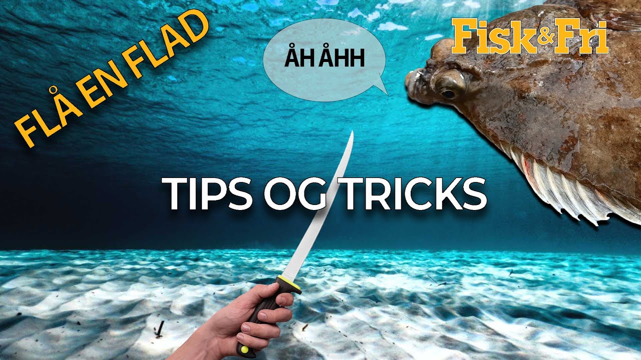 NY VIDEO: SÅDAN FLÅR DU EN FLADFISK