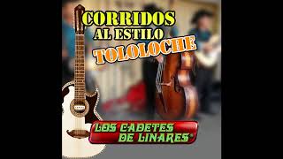 La Venganza Del Viejito -  Los Cadetes de Linares