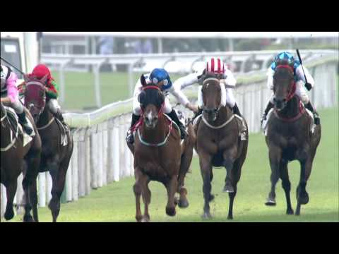 [HKIR 2015] Hong Kong’s Star Milers