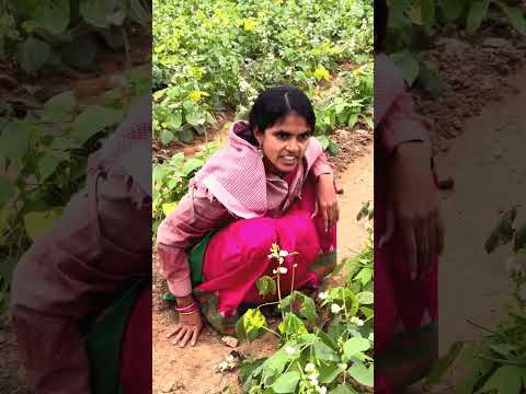 అమ్మ లాంటి అత్తమ్మ…🥹🥰😇 #awarness #motivational #emotional #inspirational #laxmisrinuvlogs