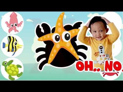 ❤  Hewan laut apakah ini ? ❤ ikan laut bintang laut kura kura gurita cumi cumi kuda laut kepiting ❤