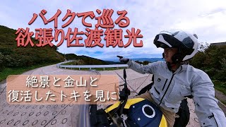 【佐渡島】バイクで巡る欲張り佐渡観光！素晴らしい景色を見て佐渡金山も見学！天然記念物のトキも観察しに行こう！帰りはひとっ走り岩手まで(?!)新潟県|V-Strom1050XT