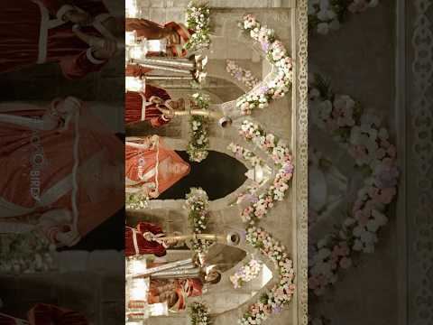 Wedding Photographer portfolio by Black Bird Clicks in Jaipur - Photo 3