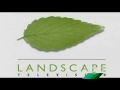 Landscape Television NBC Universal Television Studio Paramount Television