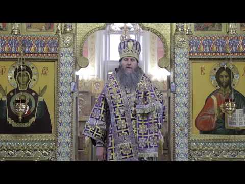 Литургия св Василия Великого. Александро-Невский кафедральный собор. Проповедь