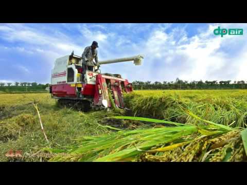 161214수확의계절